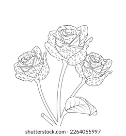Rose Flower Coloring Page And Book Hand Drawn Line Art Illustration Beautiful Flower Black And White Drawing Vector