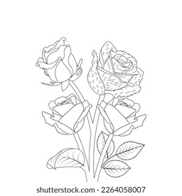 Rose Flower Coloring Page And Book Hand Drawn Line Art Illustration Beautiful Flower Black And White Drawing Vector