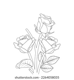 Rose Flower Coloring Page And Book Hand Drawn Line Art Illustration Beautiful Flower Black And White Drawing Vector