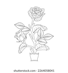 Rose Flower Coloring Page And Book Hand Drawn Line Art Illustration Beautiful Flower Black And White Drawing Vector