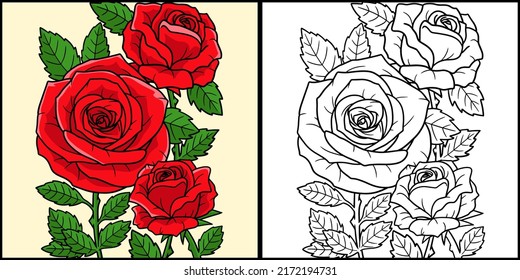 Rose Flower Coloring Page Colored Illustration