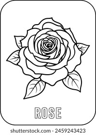 Rose flower coloring page for kids. Vector black and white hand drawn illustration for coloring book