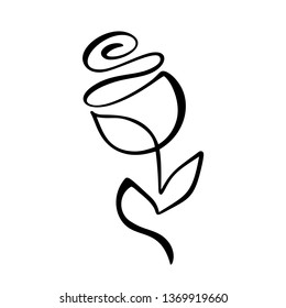 Rose flower concept. Continuous line hand drawing calligraphic vector logo. Scandinavian spring floral design element in minimal style. black and white