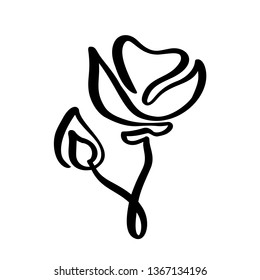 Rose flower concept logo organic. Continuous line hand drawing calligraphic vector. Scandinavian spring floral design element in minimal style. black and white.