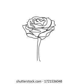 Rose Flower Continous Line Art Stock Vector (Royalty Free) 1721536048 ...