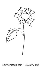 Rose flower in continuous line art drawing style. Black linear sketch isolated on white background. Vector illustration