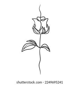 Rose flower in continuous line art drawing style. Rose flower minimalist black linear design