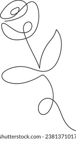Rose flower in continuous line art drawing style