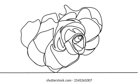 rose flower. Continuous one line drawing of rose flower minimalist design minimalism concept