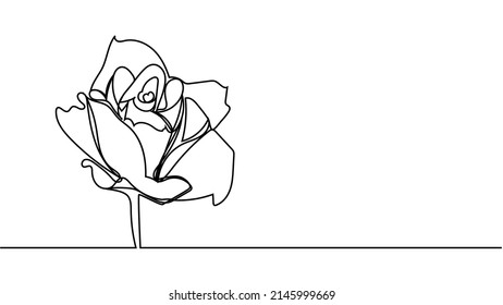 rose flower. Continuous one line drawing of rose flower minimalist design minimalism concept