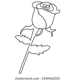 Rose flower continuous one line drawing  outline vector illustration minimalist design valentines day icon 