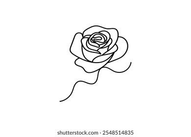 Rose flower continuous one line drawing on white background and single line art design outline vector Illustration 