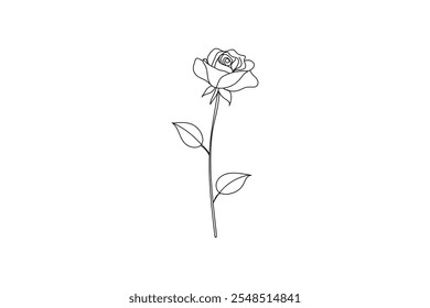 Rose flower continuous one line drawing on white background and single line art design outline vector Illustration 