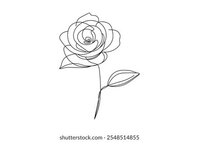 Rose flower continuous one line drawing on white background and single line art design outline vector Illustration 