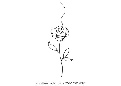 Rose flower continuous one line drawing of rose flower isolated outline vector illustration minimalist design
