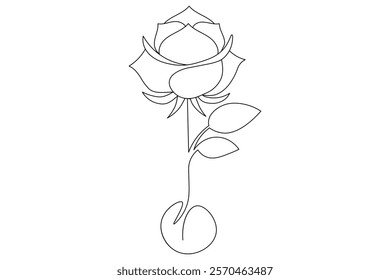 Rose Flower continuous one line art And Flower isolated outline minimalist design With white Background

