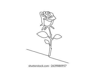 Rose flower continuous one line drawing minimalist style illustration