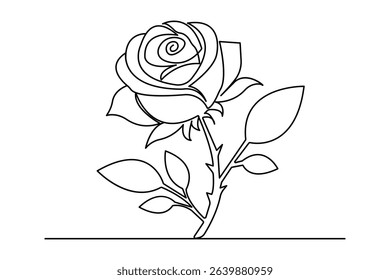 Rose flower continuous one line drawing minimalist style illustration