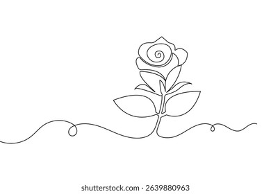 Rose flower continuous one line drawing minimalist style illustration