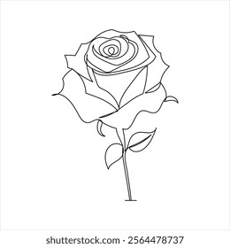 Rose flower continuous single line art drawing of concept doodle style outline vector icon