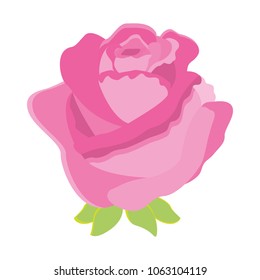 rose flower decorative icon