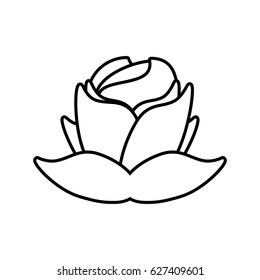 rose flower decorative outline
