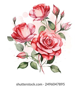 Dibujo clásico elegante de los Elementos de diseño de la flor de Rose