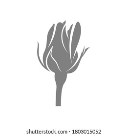 Rose Flower design vector illustration, Flower logo template