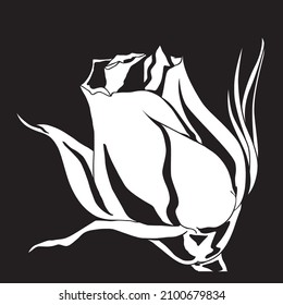 Rose, flower design. Vector illustration. It can be used as a logo for flower shops, for florists, for organizing landscaping, as a separate trade mark. 