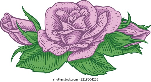 A rose flower design in a woodcut vintage retro style