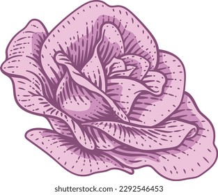 Une fleur de rose dans un style rétro vintage en bois