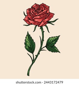 Rose flower detailed element colorful with summer flowering plant plucked from wild flower bed or grown in greenhouse vector illustration