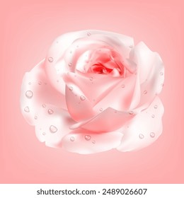 Flor de rosa con gotas de rocío Ilustración vectorial realista. La ternura femenina. Elemento 3d pálido floreciente del brote de la planta del jardín sobre fondo rosa