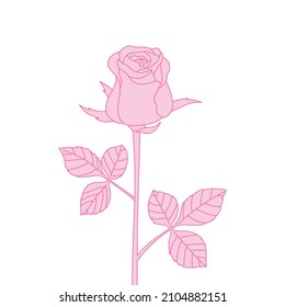 Rose Flower Drawing On White Background Stock Vector (Royalty Free ...