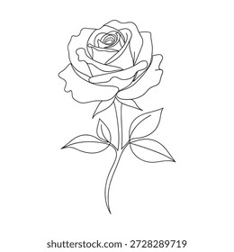 Rose flower drawing, stem and leaves, vector illustration.