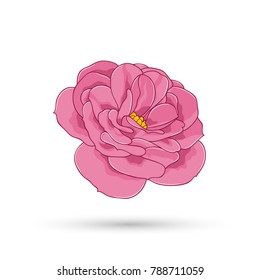 Rose flower drawn by hand in the cartoon style. A sweet and gentle element for design, scrapbooking, postcards, children's books, invitations, congratulations.