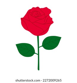 Rose flower flat illustration isolated on white background. Single colorful rose flower. Vector illustration