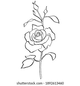 Rose Continuous Line Stock Vector (Royalty Free) 1220935504 | Shutterstock