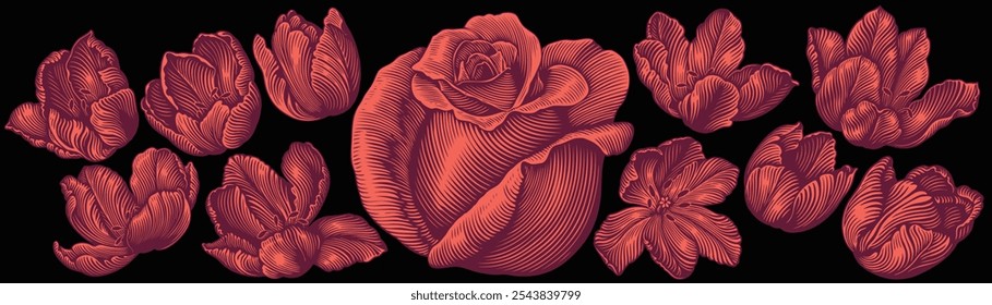 Rose flower and flowers. Design set. Editable hand drawn illustration. Vector vintage engraving. Isolated on black background. 8 EPS