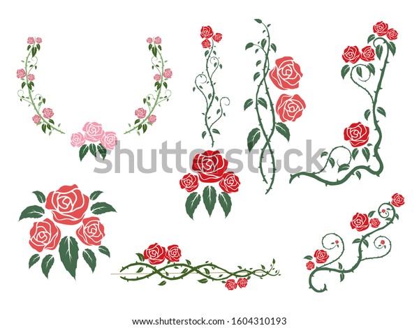 rose\
flower frame border vector illustration\
background