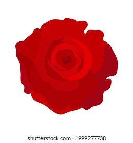 Rose flower. Garden rose isolated icon of red rose vector illustrations