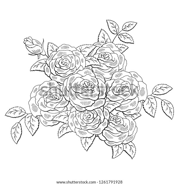 Rose Flower Graphic Black White Isolated Stock Vector (Royalty Free ...