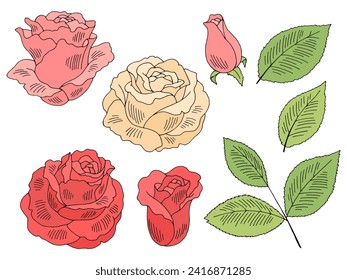 Rose flower graphic color isolated sketch set illustration vector 