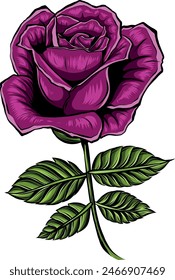 rose flower with green leaves vector illustration