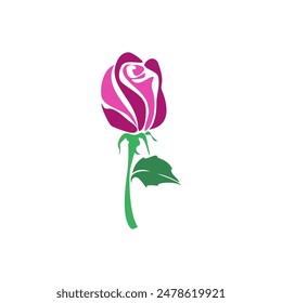 Rose flower with green leaves, vector illustration isolated on white background