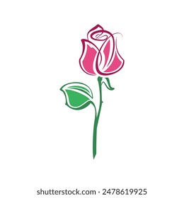 Rose flower with green leaves, vector illustration isolated on white background