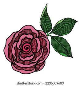 Rose flower, hand drawn doodle design 