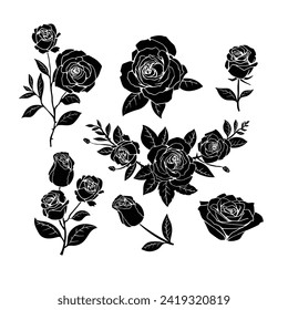 rose flower hand drawn element design