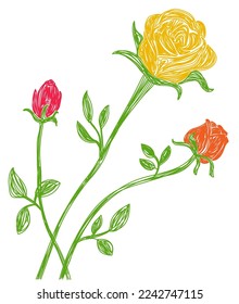 Rose flower. Hand drawn floral vector illustration. Pen or marker sketch. Hand drawn design print. Natural pencil drawing