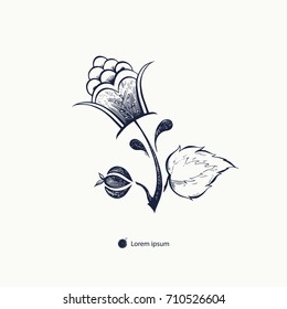 Rose flower hand drawn. The image of a rose flower can be used for tattoo, engraving, printing t shirts, fashion design. Vector illustration.
